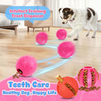 Dog Balls 6 Pack, Puppy Toys for Small & Medium Dogs, Interactive Dog Fetch Ball, Squeaky Chew Toys for Teeth/Slow Feeder/IQ Training/Playing, Dog Toys to Keep Them Busy
