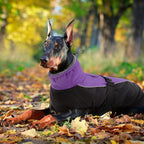 IDOMIK Dog Winter Coat, Reflective Waterproof Dog Jacket for Cold Weather, Warm Pet Coats for Small Medium Large Dogs, High Collar Doggy Fleece Snow Jacket, Winter Vest with Adjustable Buckle,XL
