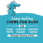 Ultra Chewy Double Treat Bones: Long-Lasting Treats Made in USA for Large and Small Breeds, Highly Digestible, for Aggressive Chewers (Bacon Cheese and Chicken Flavor, 2 Packs)