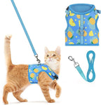 PUPTECK Soft Mesh Cat Vest Harness and Leash Set Puppy Padded Pet Harnesses Escape Proof for Cats Small Dogs Rabbits Bunny