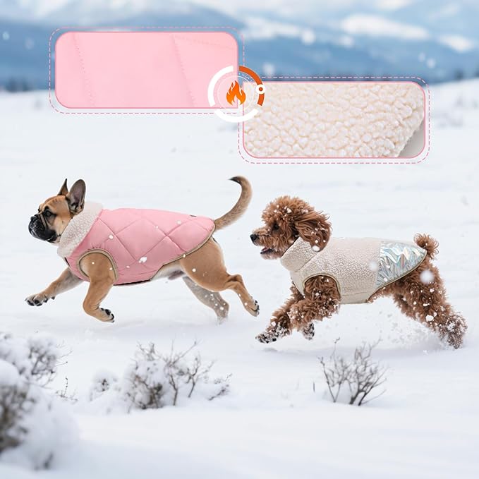 EMUST Warm Dog Jacket, Cozy Dog Fleece Coat with Leash Hole, Waterproof Reversible Winter Sweater Coats for Small Dogs, Cream, XS