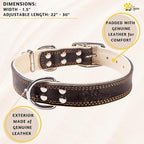 ADITYNA Heavy-Duty Leather Dog Collar for Extra-Large Dogs - Soft Padded for Comfort - Big Black Dog Collar for Walking, Training, and Hiking