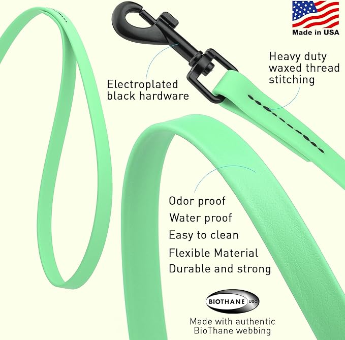 Dogline Biothane Waterproof Dog Leash Strong Coated Nylon Webbing with Black Hardware Odor-Proof Easy to Clean High Performance for Small or Large Dogs Made in USA 2 ft Lead, Sea Foam Green