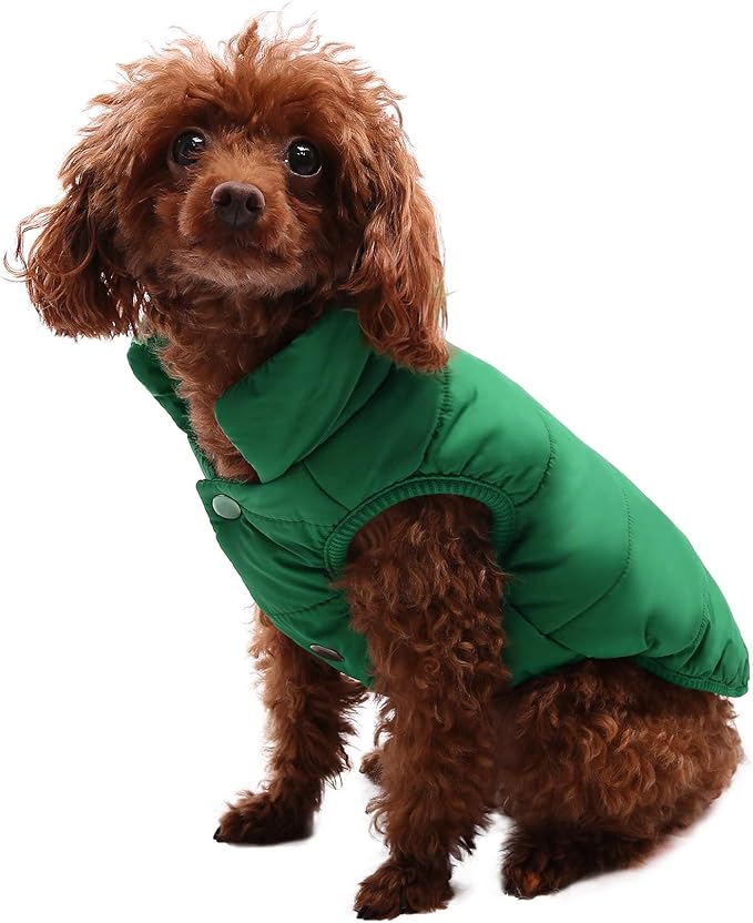 ASENKU Dog Winter Coat - Waterproof Windproof Dog Jacket, Warm Snowproof Doggie Puffer Vest for Cold Weather, Lightweight Snow Coats for Small Medium Large Dogs(M, Green)