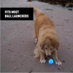 Nite Ize GlowStreak Rechargeable LED Ball - Rubber Dog Toy - Motion-Activated & Waterproof Design - 9 Hours of Runtime - Premium Dog Toys - Disc-O