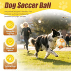 Size 2 Dog Soccer Ball with Straps Durable Training Ball for Pets Interactive Outdoor Dog Toy, Orange & Yellow, Eye-Catching Paw and Bones Design, for Small & Medium Puppie