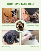 HGB Squeaky Dog Toys, Plush Dog Chew Toys for Puppy Teething, Pet Training and Entertaining, Cute Interactive Dog Toys for Small and Medium Dogs