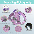 Dog Harness and Leash Set, No Pull Soft Breathable Adjustable Reflective Step In Vest Harness for Puppy, Kitten, Cats