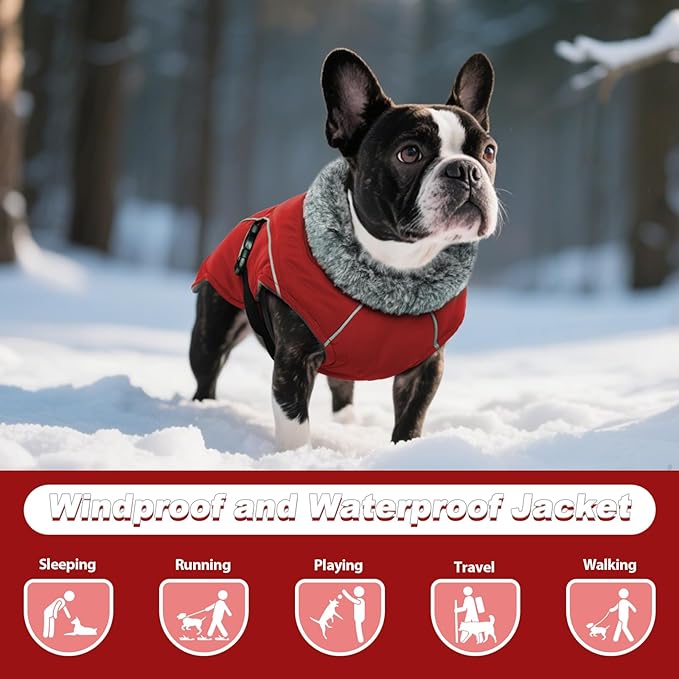DENTRUN Medium Dog Winter Jacket - Warm Reflective Windproof Coat, Adjustable Neck & Snap Closure, Water Repellent Thick Fleece Vest, Fleece Lined for Beagle Pug, Red, M