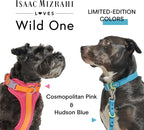 Wild One Dog Collar, Easy-Clean, All Weather Flex-Poly Strap with Metal, Durable, Dirt and Odor Resistant (Hudson, XL)