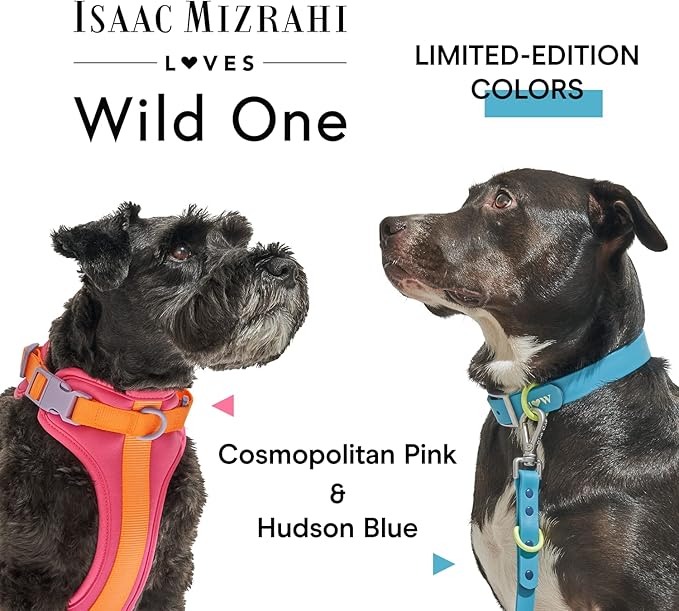 Wild One, Limited Edition, Designer Collection, Blue Dog Collar, Easy-Clean, All Weather Flex-Poly Strap with Metal, Durable, Dirt and Odor Resistant, Medium