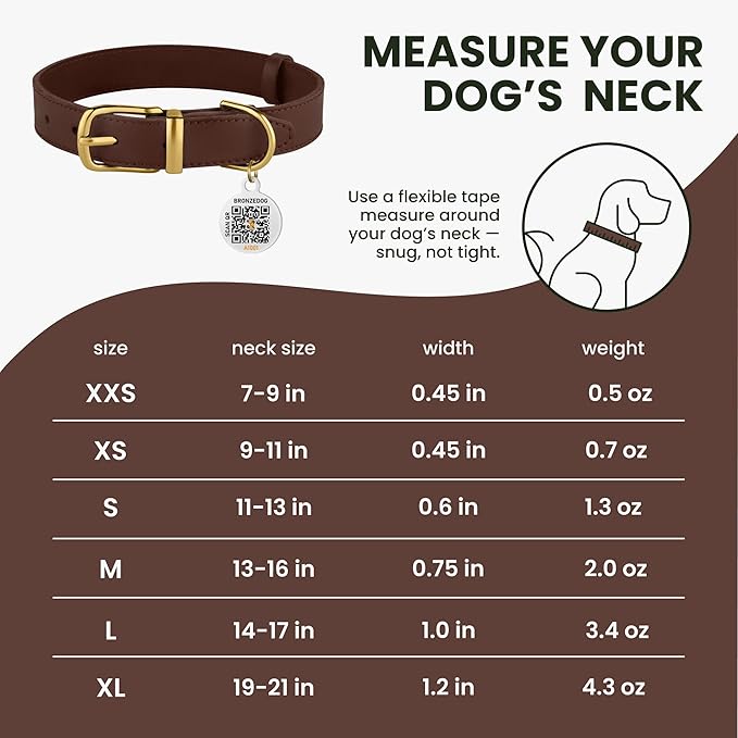 BRONZEDOG Leather Dog Collar with QR ID Tag Basic Pet Collars for Small Mini Dogs Cats Puppies (7-9 Inch (Pack of 1), Dark Brown & Gold Buckle)