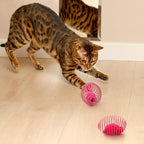 Jecery 5 Pcs Halloween Cat Spring Balls Toys Stretchable Rolling Balls Colorful Playful Coils Interactive Spring Action Toy Caged Rats for Kitten Cat Pet Supplies(Mouse,Pink,5 Pcs)