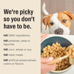 The Honest Kitchen Whole Food Clusters Whole Grain Chicken & Oat Dry Dog Food, 1 lb Bag (Pack of 2)