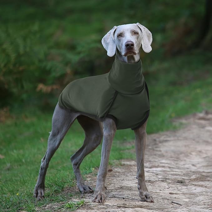 ROZKITCH Dog Winter Coat Soft Pullover Pajamas, Pet Windproof Warm Cold Weather Jacket Vest Cozy Jumpsuit Apparel Outfit Clothes for Walking Hiking Travel Sleep Green XL