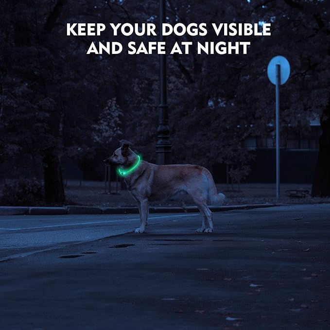 LED Dog Collar, Rechargeable Light Up Dog Collars,IP67 Waterproof Dog Lights for Night Walking，Adjustable, Reusable Safety Necklace for Small Medium Large Dogs (Green)
