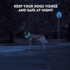 LED Dog Collar, Rechargeable Light Up Dog Collars,IP67 Waterproof Dog Lights for Night Walking，Adjustable, Reusable Safety Necklace for Small Medium Large Dogs (Pink)