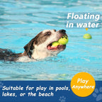 Squeaky Tennis Balls for Dogs - Bulk 50 Pack 2.5'' Durable Non-Toxic Outdoor Dog Toys Balls with Mesh Bag, SGS Certified, Colorful Fetch Toys, Medium Large Breeds
