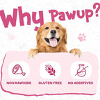 PAWUP Dog Treats Pumpkin Biscuits Sticks w/Duck Low Fat Dog Snacks, Healthy Biscuits with Taurine for Small Dogs, 12.5 oz