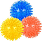 Dog Balls Pet Toys for Small Medium Dogs Clean Teeth and Training Squeaky Balls(3 Pack)