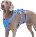 Huntboo Escape Proof Dog Harness,No Pull Reflective Harness with Lift Handle,Adjustable Pet Vest with Front and Back Leash Clips for Small Medium Large Dogs Walking Hiking Training (Sea Blue,XL)