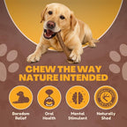 WhiteTail Naturals - Deer Antlers for Large Dogs - Long Lasting Antler Dog Chews - Crafted in USA, Naturally Shed Antler Dog Bones for Aggressive Chewers (Large (Pack of 1))