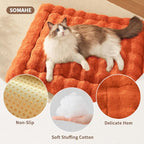 Cat Beds for Indoor Cats Faux Fur Pet Pad Mat Plush Kitten Bed with Non-Slip Bottom for Carriers/Couch Dog & Puppy Friendly 23 x 15 Inch Small Orange