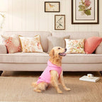 EXPAWLORER Dog Hoodie Fleece Sweater Vest, Hooded Dog Sweatshirt Fall Winter Pet Clothes with Leash Hole, Sleeveless Warm Cozy Puppy Clothing for Cat Small Medium Large Dogs Girl Boy, Pink L