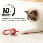 2025 New 2Pack Cat Ball Kitten Toys for Indoor Interactive Kitty Ball Toy Speedy Tail 360° Automatic Rolling(Red Grey)