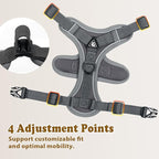 Cat Harness and Leash for Walking, Escape Proof Soft Adjustable Vest Harnesses for Cats