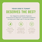 VetIQ Probiotic Powder for Dogs, Treats Diarrhea, Digestive Issues, Food Sensitivity, Chicken Flavored, Single-Serve Packets, 30 Count