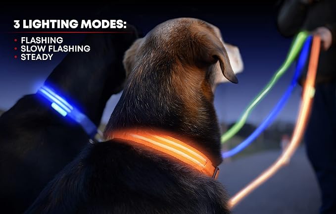ILLUMISEEN LED Dog Collar USB Rechargeable - Bright & High Visibility Lighted Glow Collar for Pet Night Walking - Weatherproof, in 6 Colors & 6 Sizes (Green X-Large)