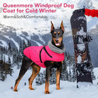 Queenmore Dog Coat,Windproof Dog Coat for Medium Dogs,Dogs Jackets with Harness Built in,Waterproof Doggy Coats with Zipper On Back,Reflective Cold Weather Coats for Dachshund,Boston Terrier,RoseRed,M