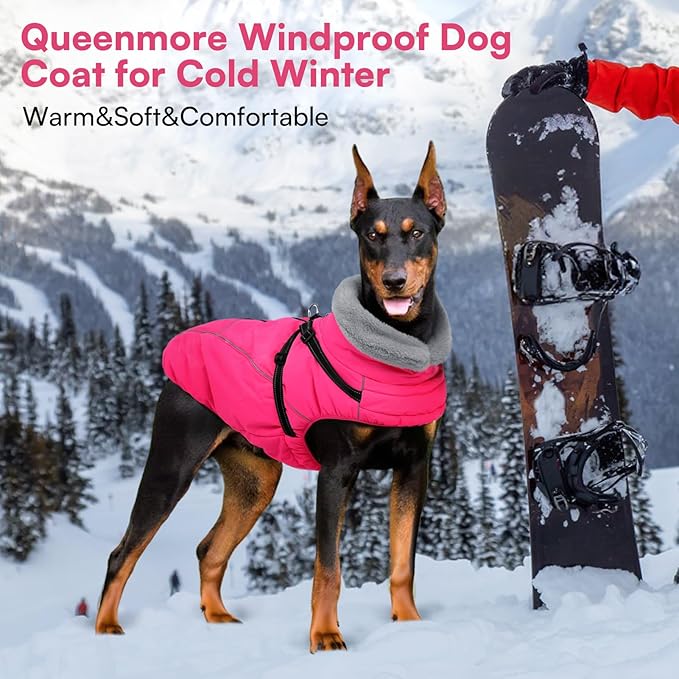 Queenmore Dog Coat,Windproof Dog Coat for Medium Dogs,Dogs Jackets with Harness Built in,Waterproof Doggy Coats with Zipper On Back,Reflective Cold Weather Coats for Dachshund,Boston Terrier,RoseRed,M