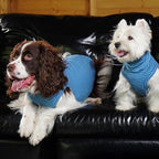 ROZKITCH Dog Sweaters for Large Dogs Winter Dog Pullover, Warm Sweatshirt with High Neck for French Bulldog Small Pets, Lightweight & Comfortable BlueStripe XL