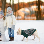 SCENEREAL Turtleneck Dog Sweater for Small Medium Large Dogs Girls Boys, Christmas Plaid Pullover Puppy Sweatershirt, Dogs Cold Weather Outfit Clothes, Ideal Gift for Pet in New Year, Green Plaid ML