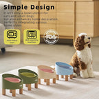 MS!MAKE SURE Cat Bowls, Adjustable Elevated Ceramic Cat Bowls with Anti-Slip Rubber Pad, Splash Guard, Lead & Cadmium Free, Whisker Friendly, for Puppies & Cats - 5.1" Wide, 295ML (10 oz), Pink-Green