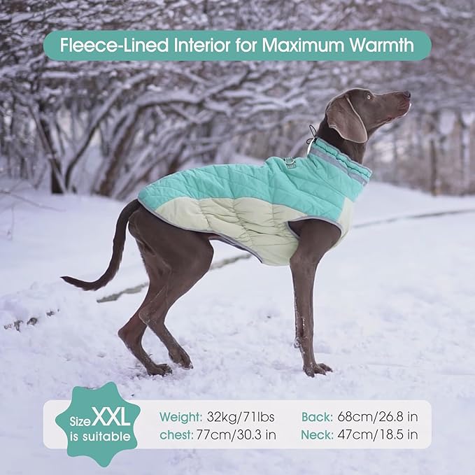 FUAMEY Dog Coat for Small Dogs,Waterproof Dog Winter Jacket with Harness Built in Puppy Cold Weather Coats Reflective Pet Vest with Zipper Warm Fleece Dogs Snowsuit Windproof Mint Green XS