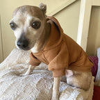 Jecikelon Winter Dog Hoodie Sweatshirts with Pockets Warm Dog Clothes for Small Dogs Chihuahua Coat Clothing Puppy Cat Custume (Coffee, XX-Small)