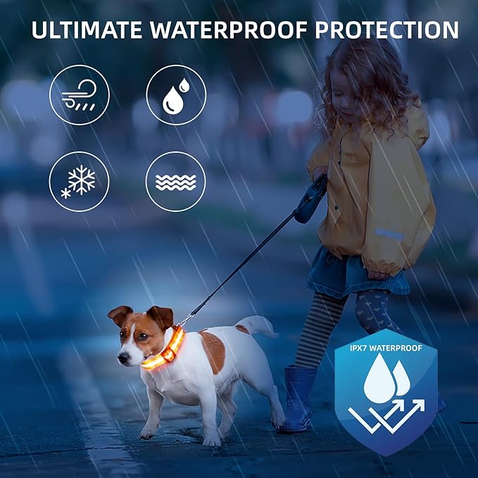 Super Bright LED Dog Collar - Fully Waterproof & Adjustable Glow Collar - USB-C Rechargeable for Night Walking, Safety - Flashing Lighted Collar for Dogs(Orange,L)