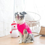Mihachi Turtleneck Dog Sweater - Winter Coat Apparel Classic Cable Knit Clothes with Leash Hole for Cold Weather, Ideal Gift for Pet in New Year