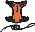 Voyager Step-in Lock Adjustable Cat Harness w. Cat Leash Combo Set with Neoprene Handle 5ft - Supports Small, Medium and Large Breed Cats by Best Pet Supplies - Orange/Black Trim, XS