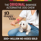 Earth Animal No Hide Stix - Long Lasting Rawhide Free Small Dog Chews Sticks, Salmon - 80 Count Extra Value Pack