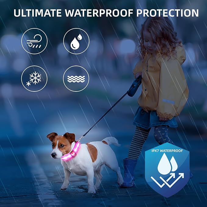 Super Bright LED Dog Collar - Fully Waterproof & Adjustable Glow Collar - USB-C Rechargeable for Night Walking, Safety - Flashing Lighted Collar for Dogs(Pink,S)