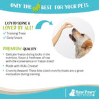 Raw Paws Freeze Dried Cheddar Cheese Treats for Dogs, 3-oz - Crunchy Dog Puffs Made in USA, Natural Dried Wisconsin Cheddar Bites - 100% Real Cheese Treats