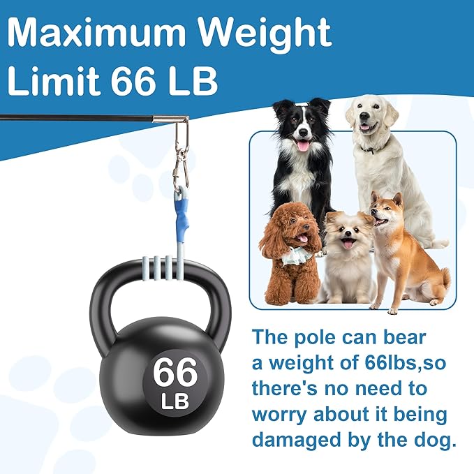 Flirt Pole for Dogs Interactive Dog Pole Toy for Large Medium Small Dogs, Dog Teaser Pole for Tug of War, Flirt Pole with Lure Ball (Standard&Extended Pole+Elastic Rope)