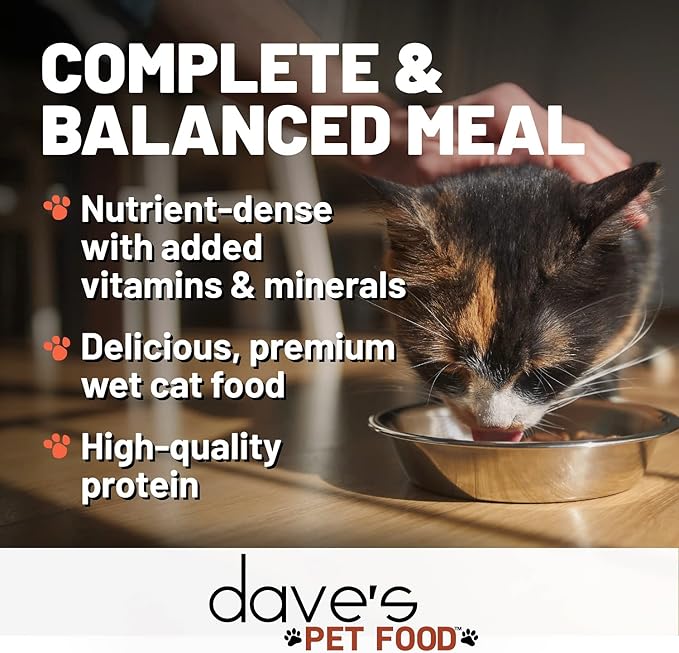 Dave's Pet Food Grain Free Wet Cat Food (Farmyard Fowl, Chicken & Duck), Made in USA Naturally Healthy Canned, Added Vitamins & Minerals, 5.5 oz Cans (24 Pack)