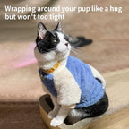 LESYPET Dog Sweater for Small to Medium Dogs, Fleece Lining Puppy Sweatshirt in Winter, Warm Puppy Clothes Pullover Jumper, Blue L
