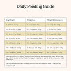 Now Fresh Good Gravy, Bone Broth Coated Kibble, Dry Dog Food, Salmon Adult Recipe with Grains, All Breed Size, 22 lb Bag