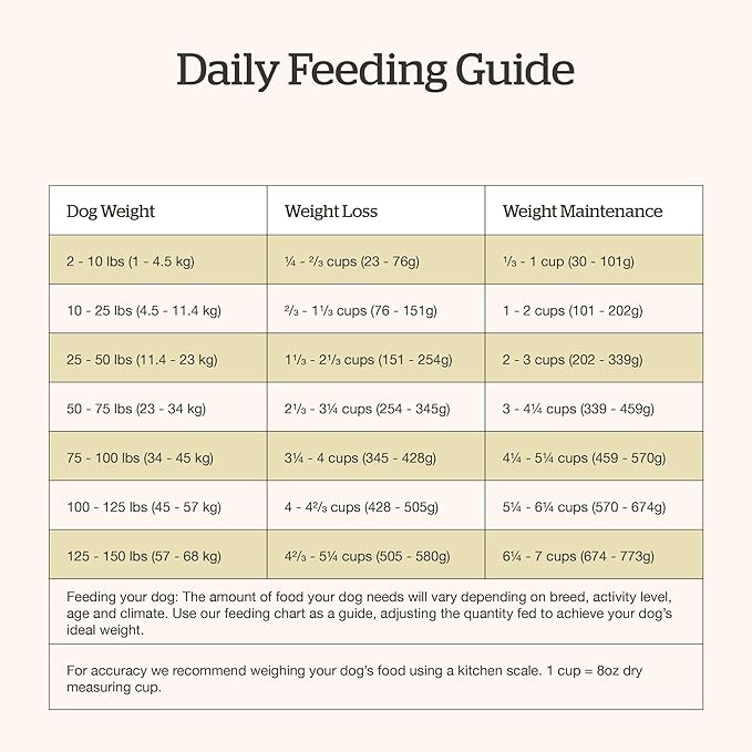 Now Fresh Good Gravy, Bone Broth Coated Kibble, Dry Dog Food, Salmon Adult Recipe with Grains, All Breed Size, 22 lb Bag